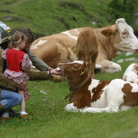 Gourmetbauernhof Mentebauer Çiftlik konaklama Gmünd
